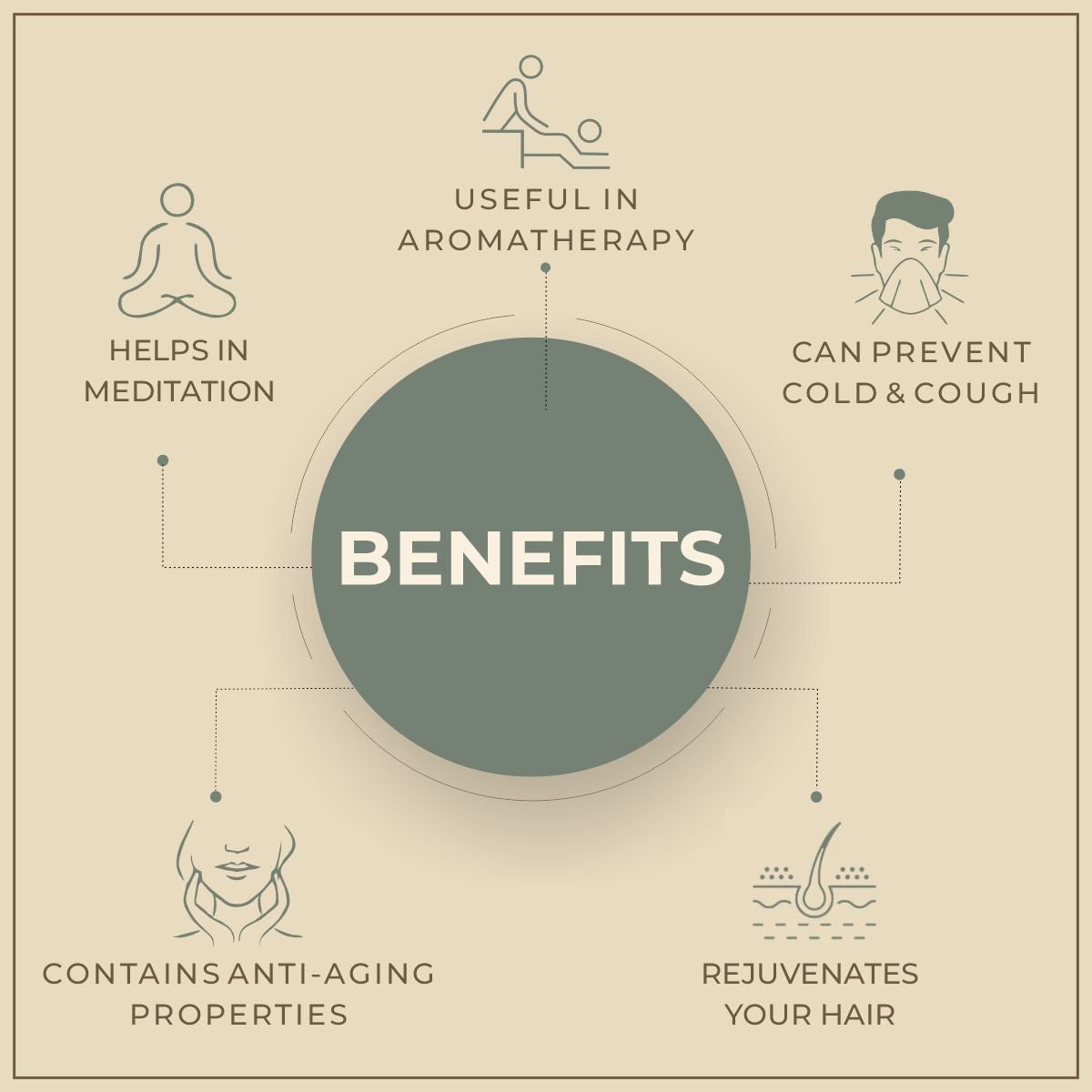 Shoprythm Natural Essential Oils Amyris Essential Oil Shoprythm Natural Essential Oils Amyris Essential Oil